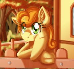 carrot top pony