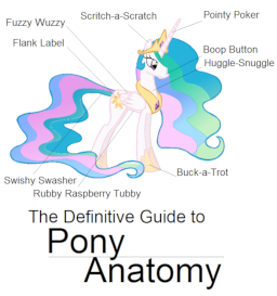 The Definitive Guide to Pony Anatomy - Starring Princess Celestia and  Princess Luna - Fimfiction