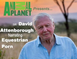 For some reason, National Geographic didn't green-light this series