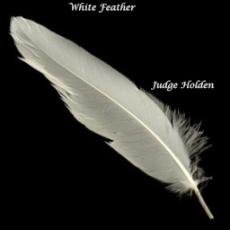 White Feather Fimfiction