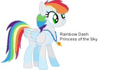 alicorn rainbow dash princess of loyalty