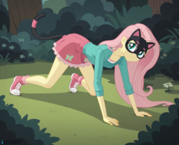 Chapter 1. Fluttershy-Quadrober - Fluttershy is a Quadrober ...