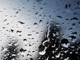 Rain - Fimfiction