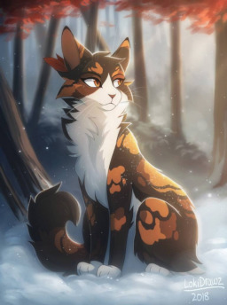 Medicine cat code - Warrior Cats