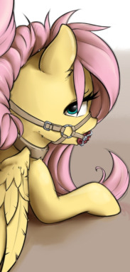 183px x 384px - All Tied Up - Fluttershy Discovers BDSM - Fimfiction