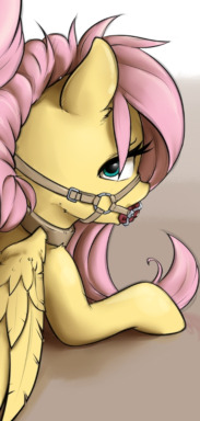 All Tied Up - Fluttershy Discovers BDSM - Fimfiction