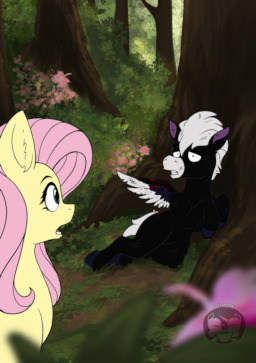 fluttershy hurt