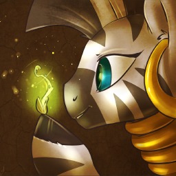 My little hot sale pony zecora