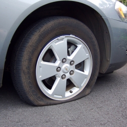 jllx-1431833845-202116-256